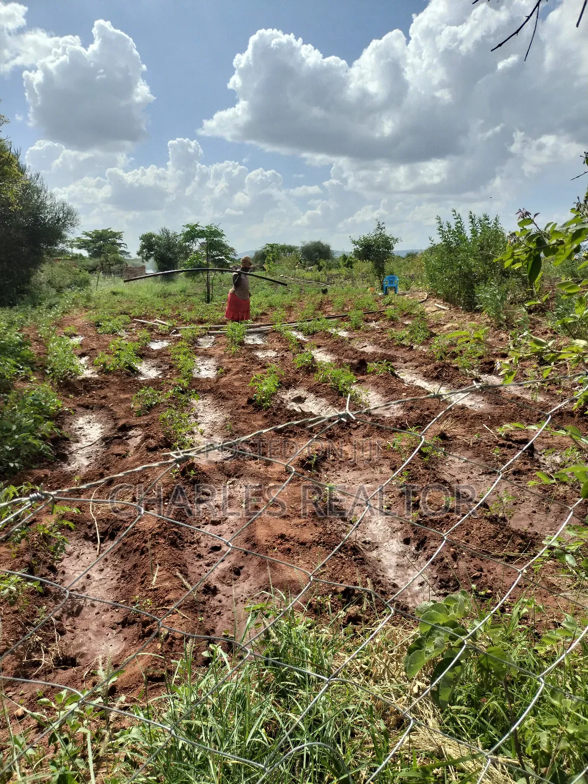 Kithioko Plots for Sale