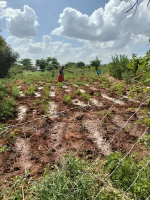Kithioko Plots for Sale
