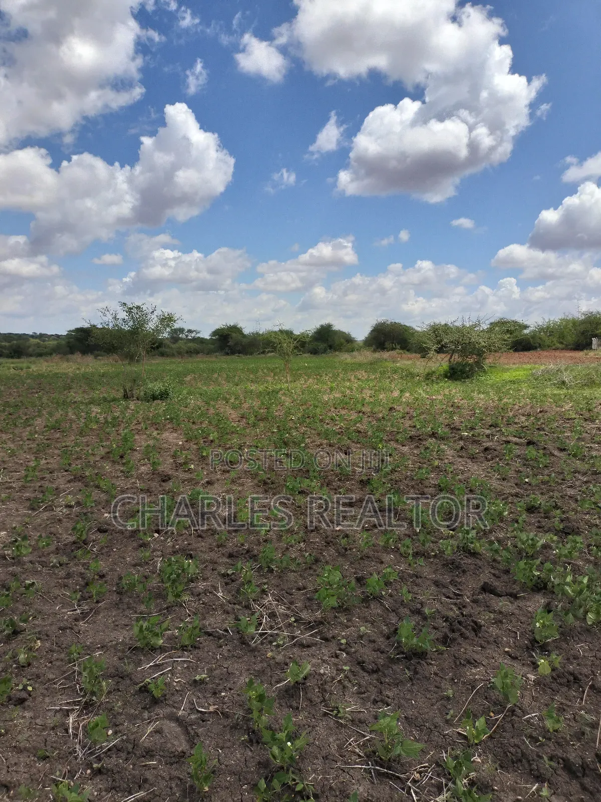 Kithioko Plots for Sale