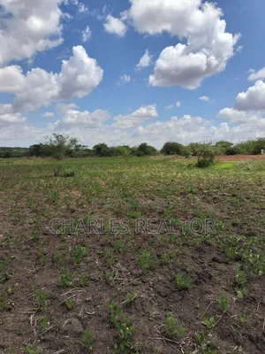 Kithioko Plots for Sale
