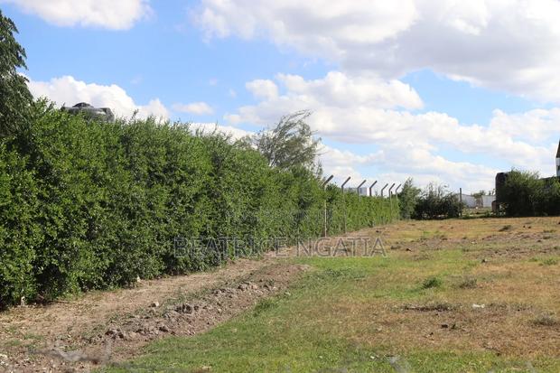 Isinya Plots - thumbnail 2