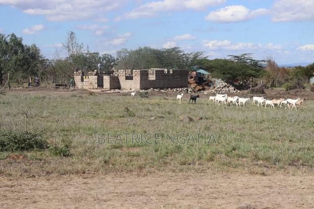 Isinya Plots - thumbnail 3