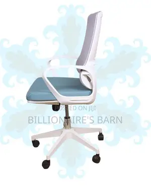 White Ergonomic Work Chair | Stable Base, Lower-back Support