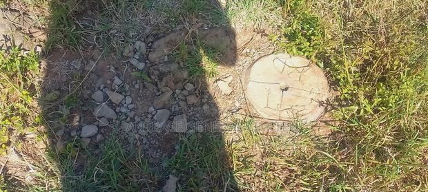 Ruiru Murera Plot at 850,000 Negotiable With Flexible Payment - thumbnail 8