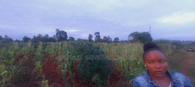 Ruiru Murera Plot at 850,000 Negotiable With Flexible Payment - thumbnail 12