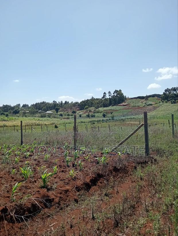 1⁄4 Acre Plot for Sale in Limuru - thumbnail 4