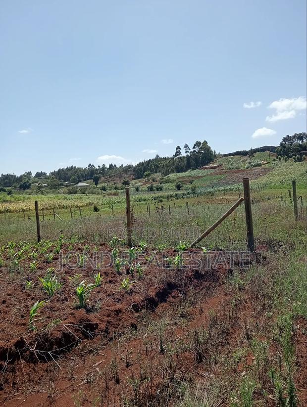 1⁄4 Acre Plot for Sale in Limuru - thumbnail 5
