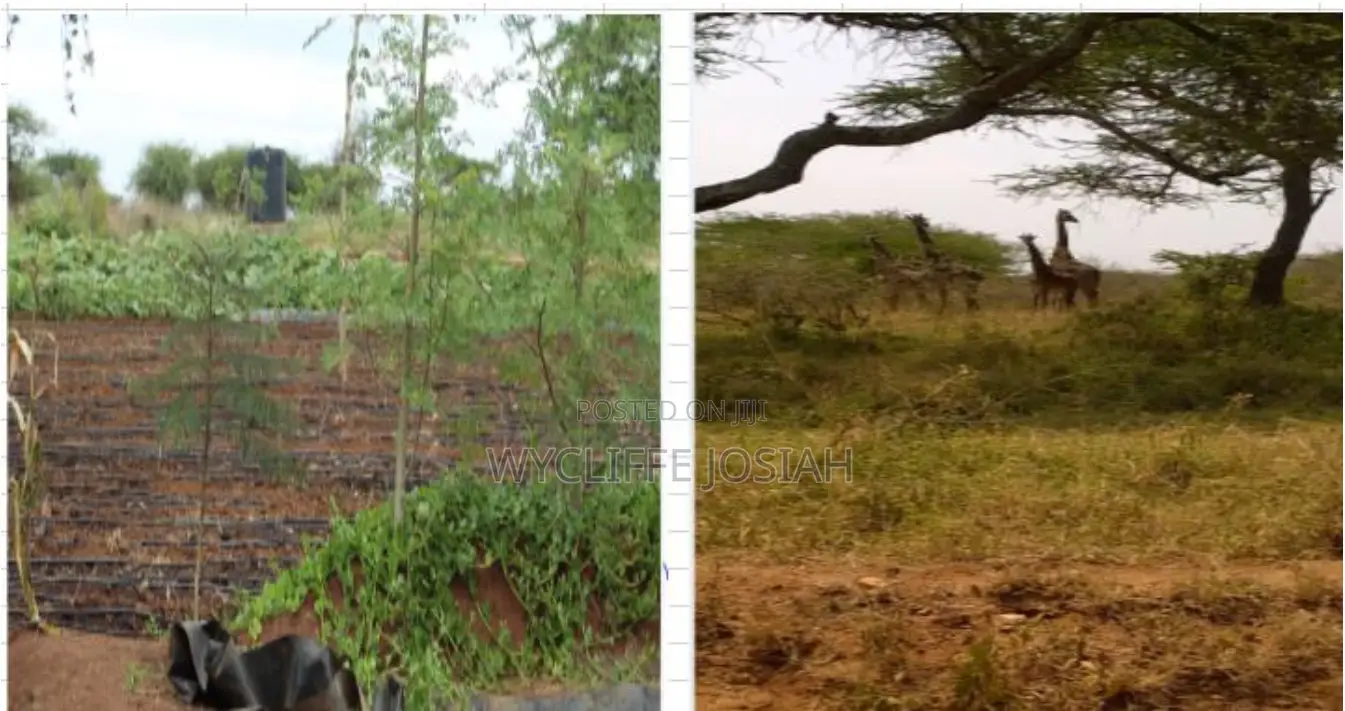 Land for Sale: Kajiado