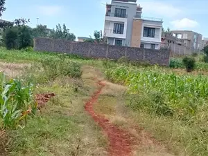 Prime Residential Plots for Sale