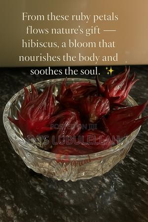 Rosé Hibiscus Elixir - main view