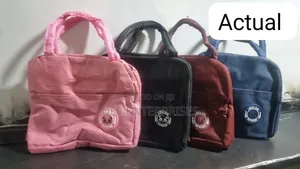 Big Size Brivilas Insulated Food Bag