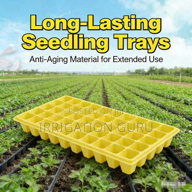 Seedling Trays For Melon Seeds - thumbnail 3