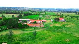 Plots for Sale - thumbnail 2