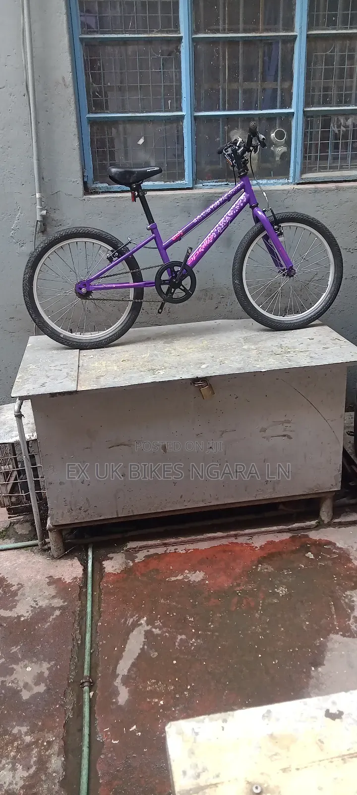 Ex Uk Size 20 Envy Kids Bicycle for 6-7 Yr Old