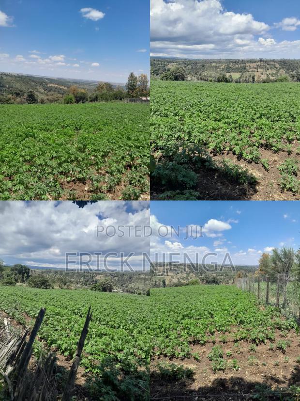 Nyeri, Nairutia, 3/8 Acre. - main view