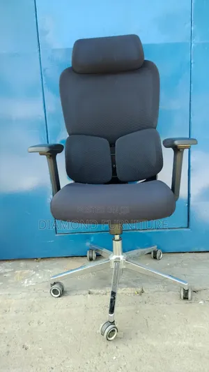 Orthopedic Executive Office Chair – Adjustable Comfortable