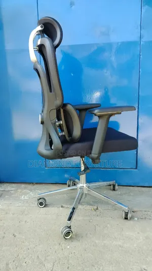 Orthopedic Executive Office Chair – Adjustable Comfortable