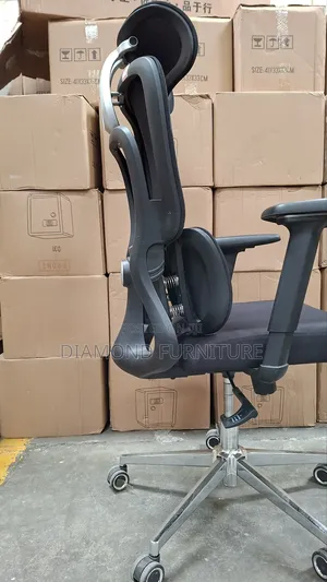 Orthopedic Executive Office Chair – Adjustable Comfortable