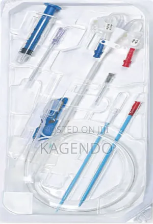Temporary Dialysis Catheter