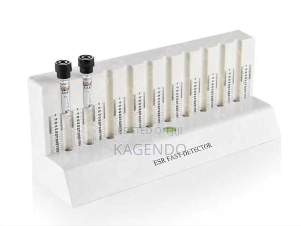 Esr Fast Detector - main view