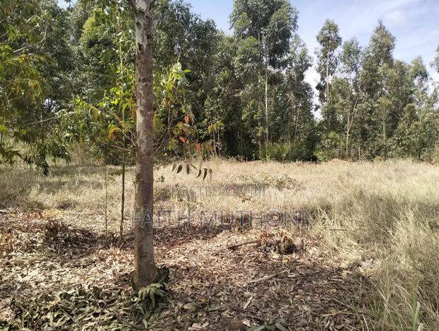 Residential Plots - thumbnail 3