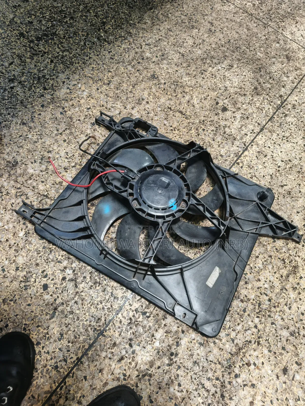 Radiator Fan Nt31 Nissan Xtrail