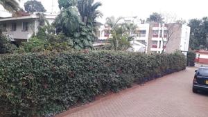 Selling Land - thumbnail 2