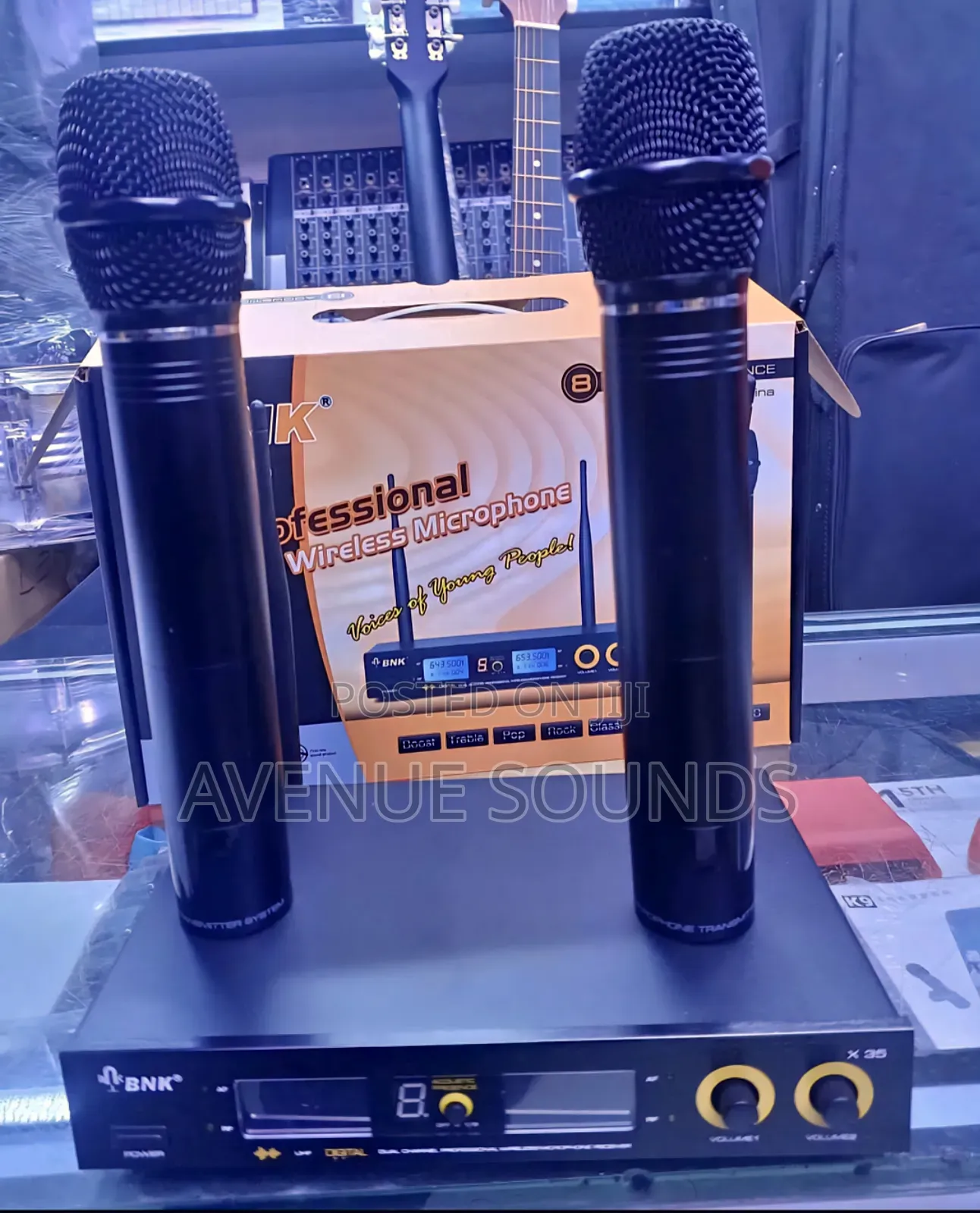 Bnk X35 Professional Wireless Microphone System