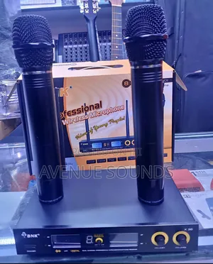 Bnk X35 Professional Wireless Microphone System