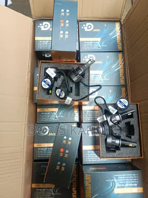 D2 D4 Series Headlights Bulbs