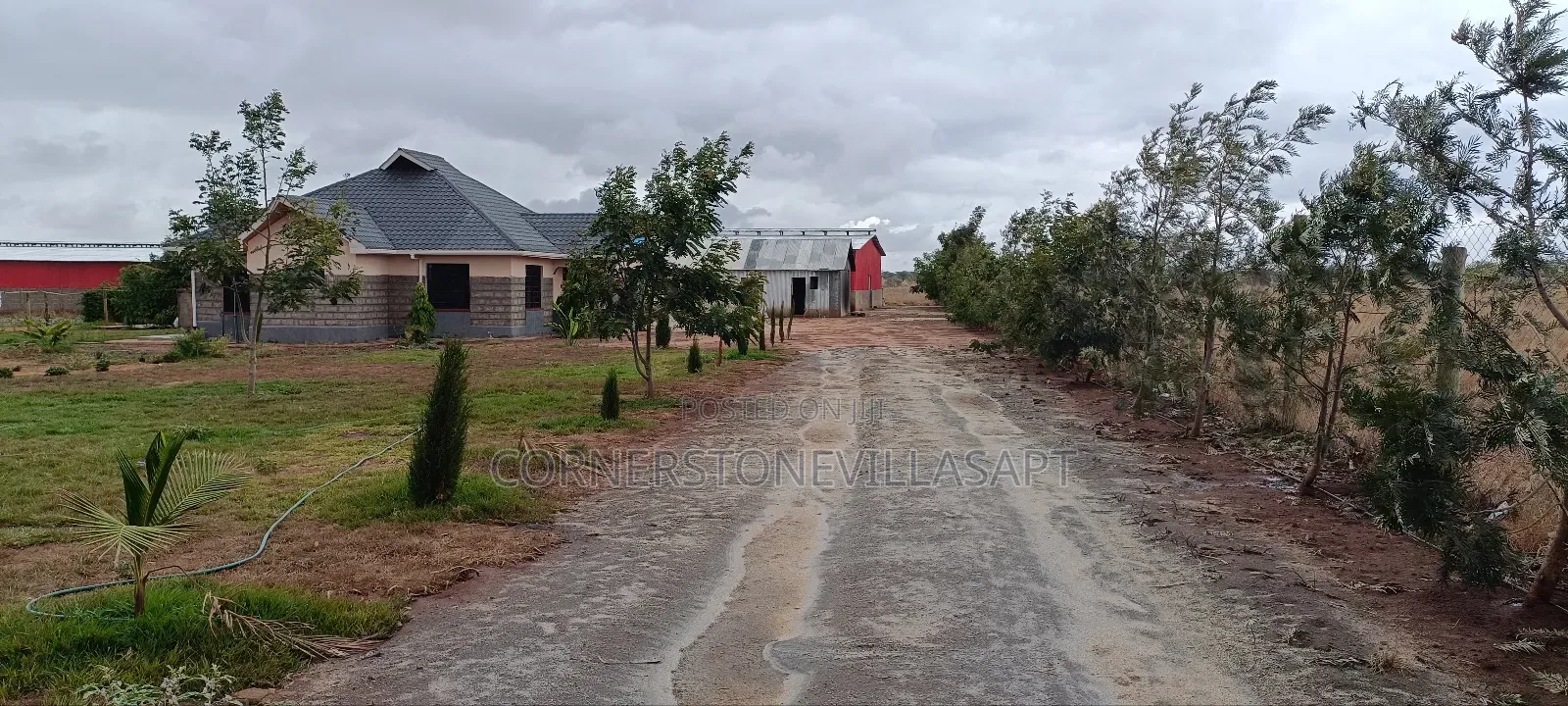 Farmland for Sale