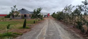 Farmland for Sale