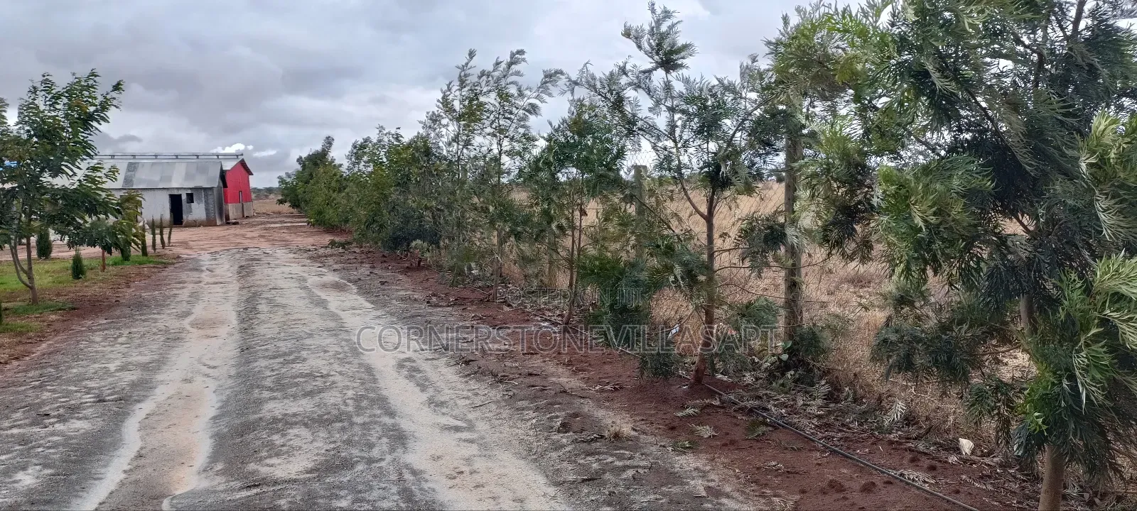 Farmland for Sale