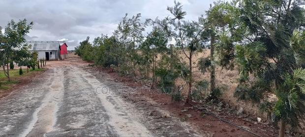 Farmland for Sale - thumbnail 5