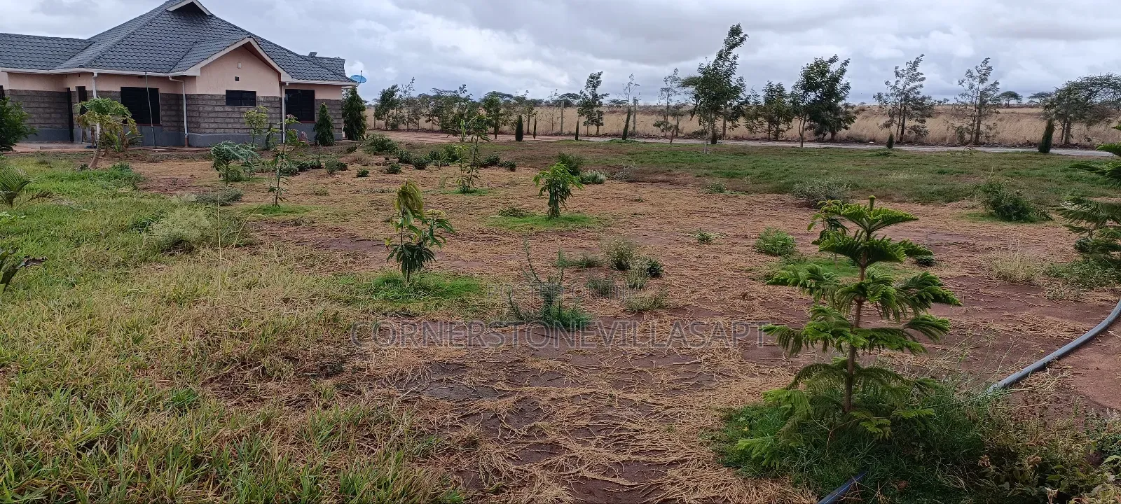 Farmland for Sale