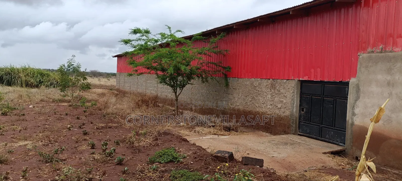 Farmland for Sale