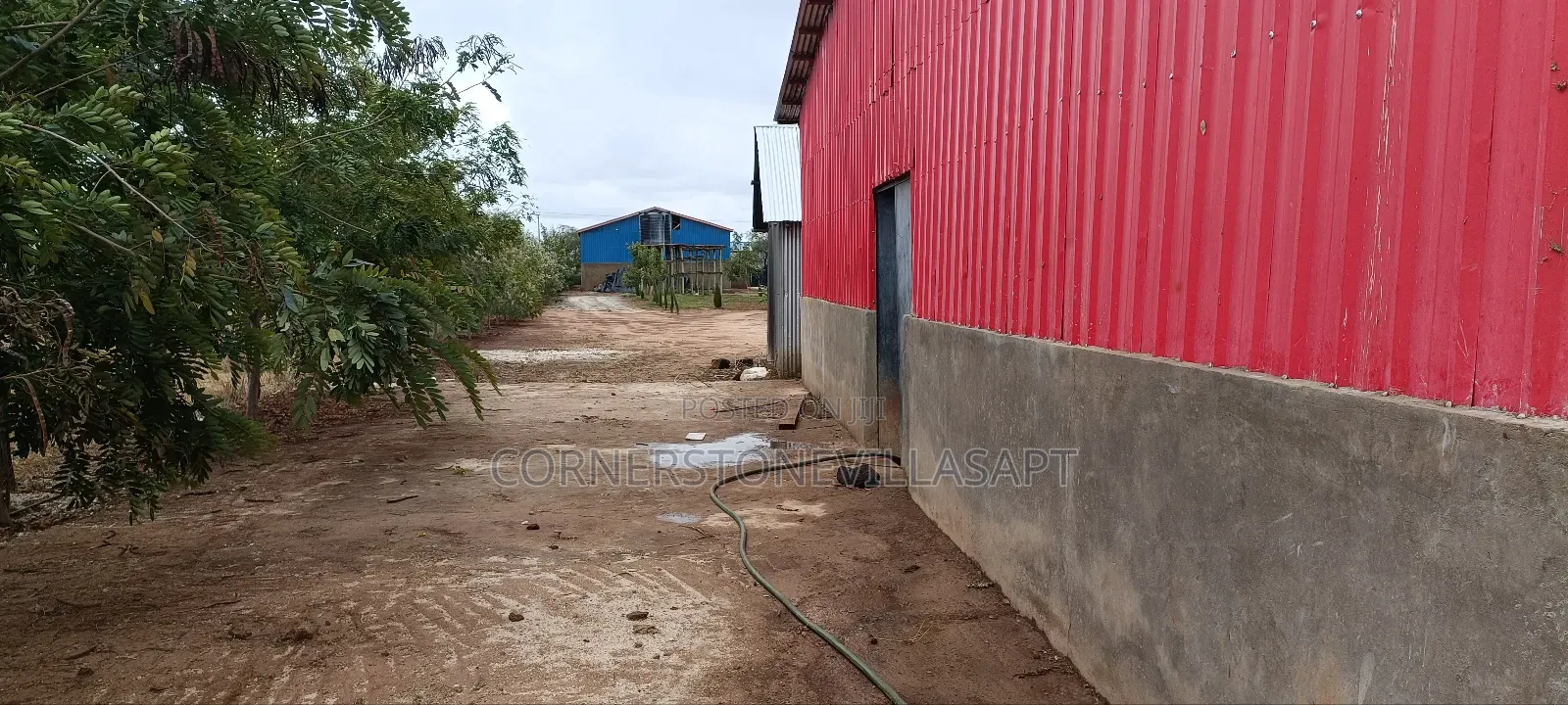 Farmland for Sale
