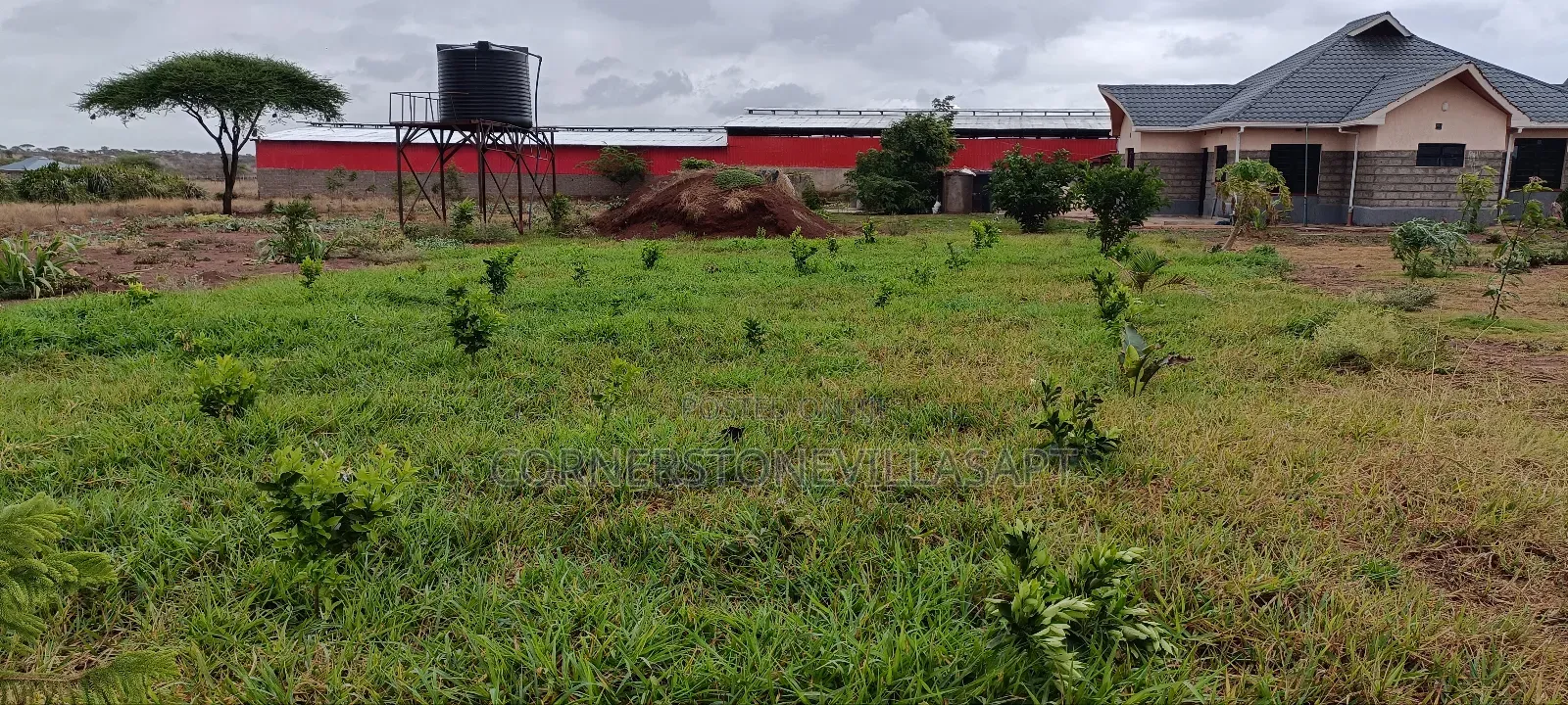 Farmland for Sale