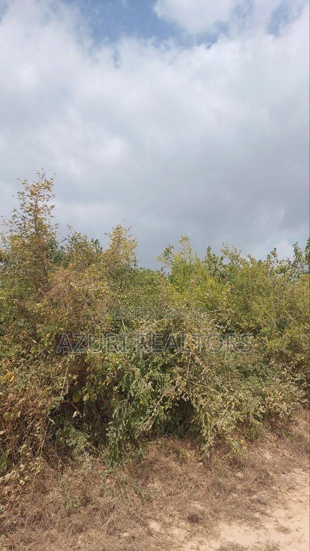 1 Acre Second Row Beach Plot for Sale - thumbnail 4