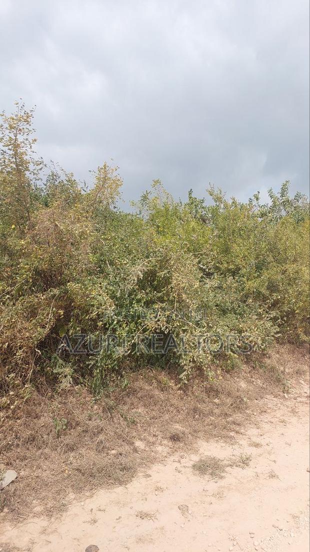 1 Acre Second Row Beach Plot for Sale - thumbnail 5