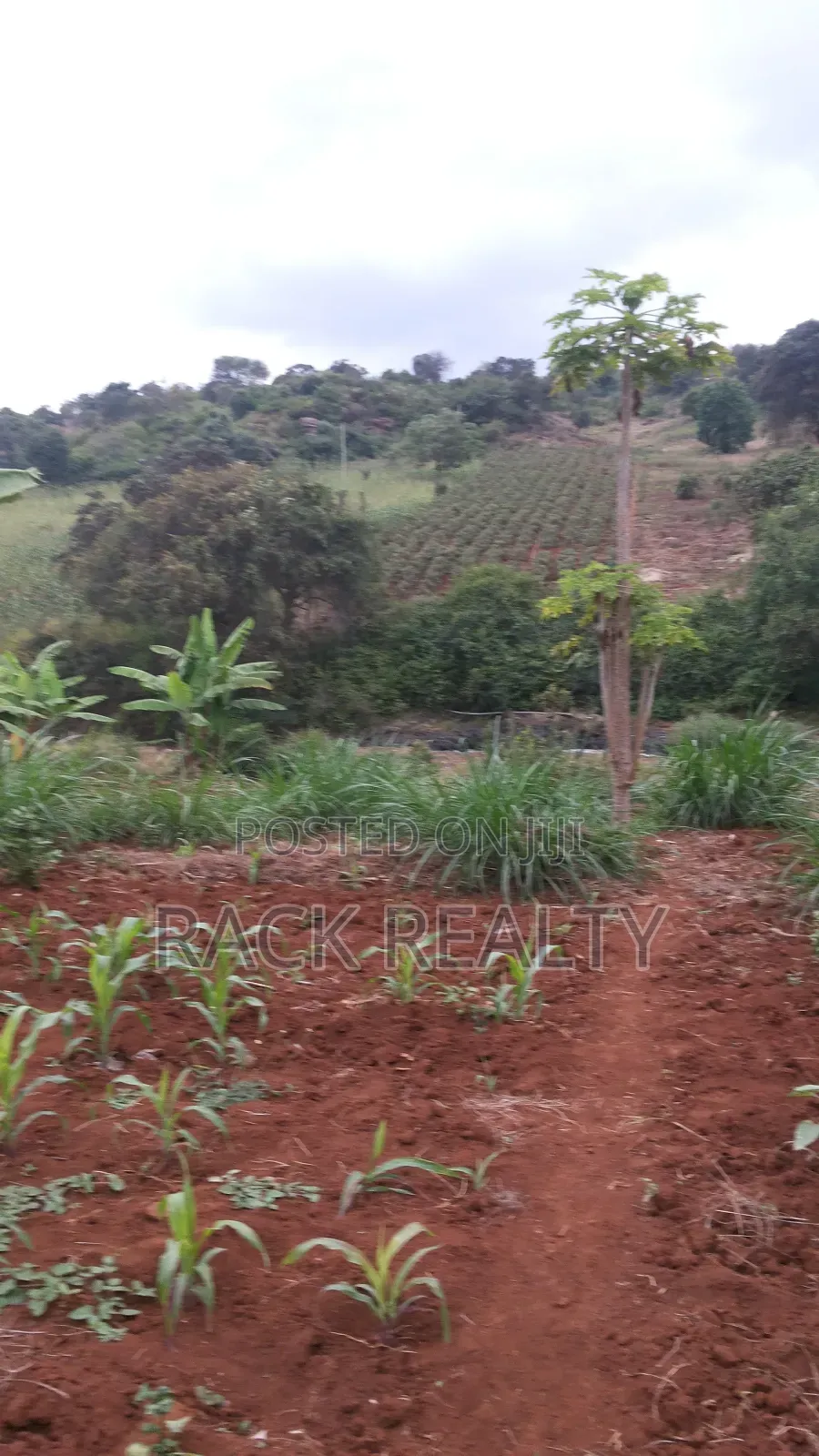 10 Acres Embu Prime Riverside Land For Sale