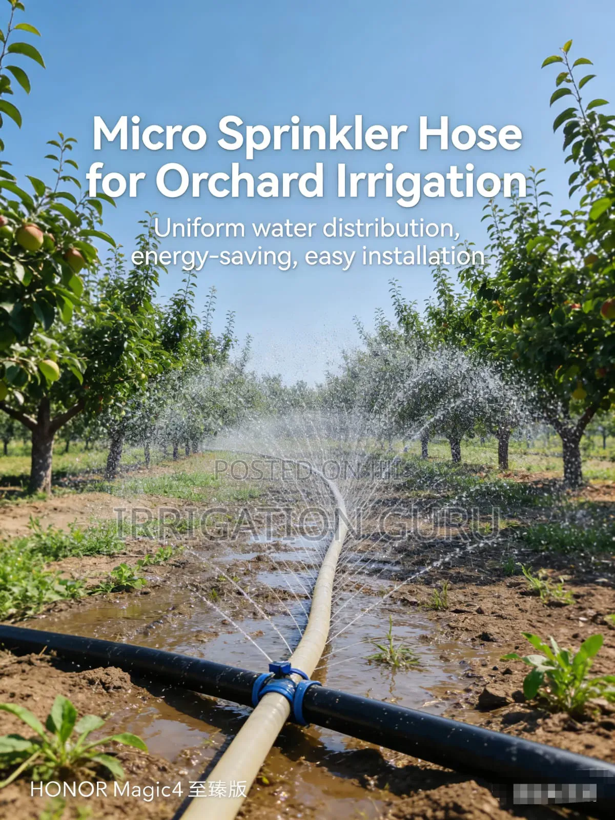 Orchards Irrigation Method