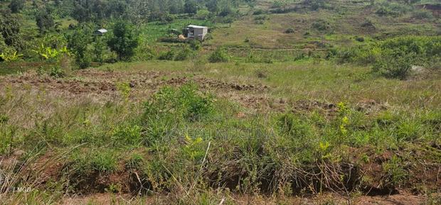Ndeiya Rwamburi Plot