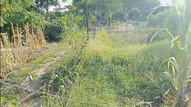 Plot For Sale - main view