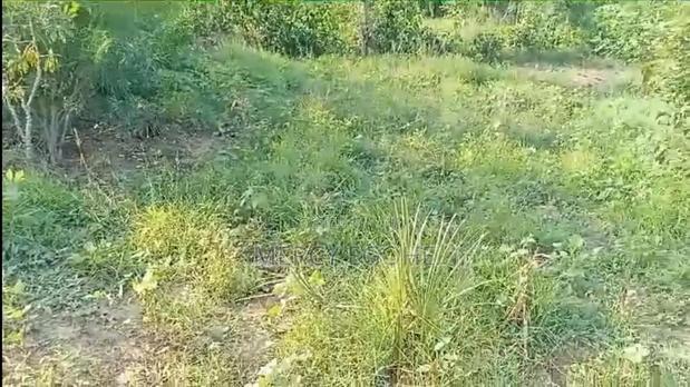 Plot For Sale - thumbnail 3