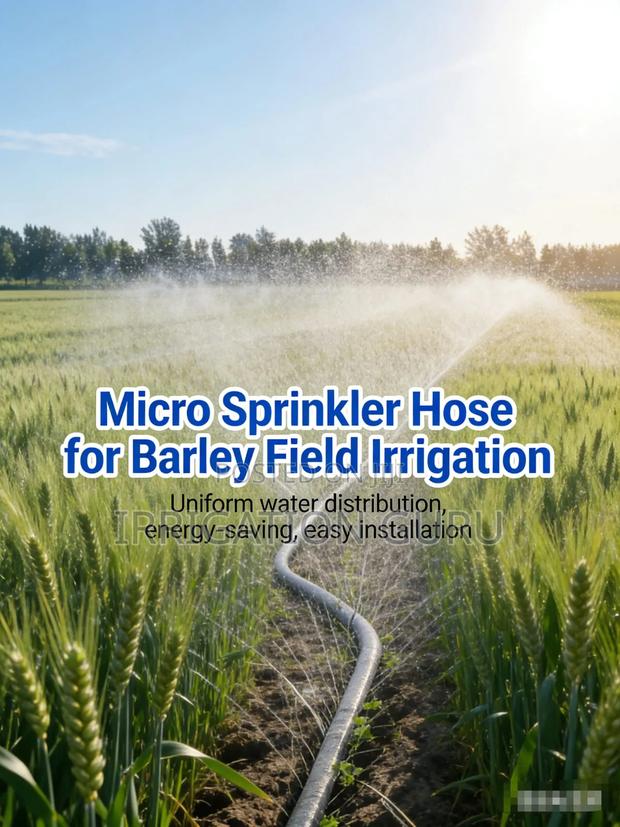 Pipe That Makes Rain - main view