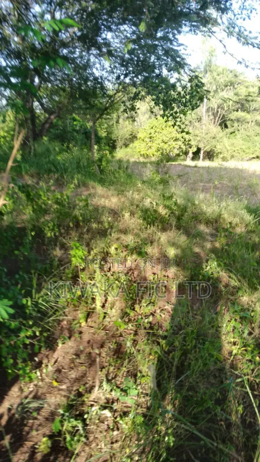 3 Acres in Kambiti