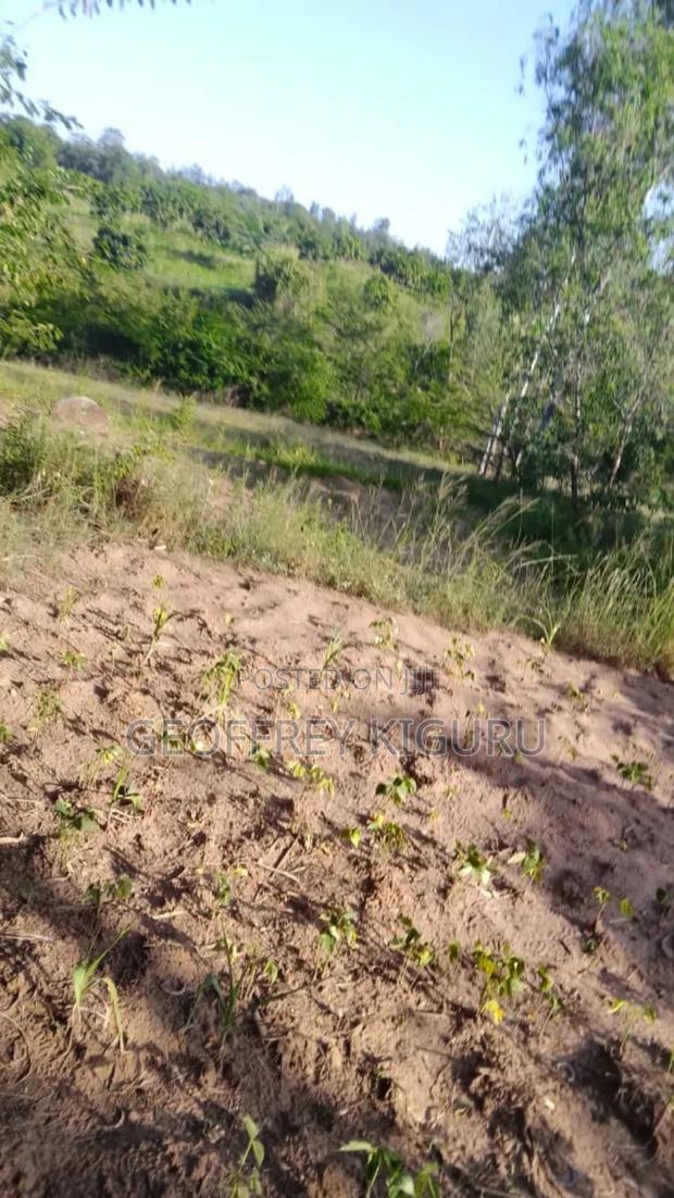 3 Acres in Kambiti - thumbnail 4