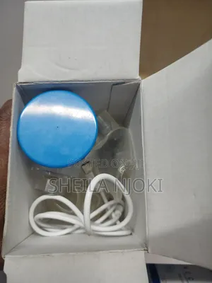 Mesh Portable Nebulizer