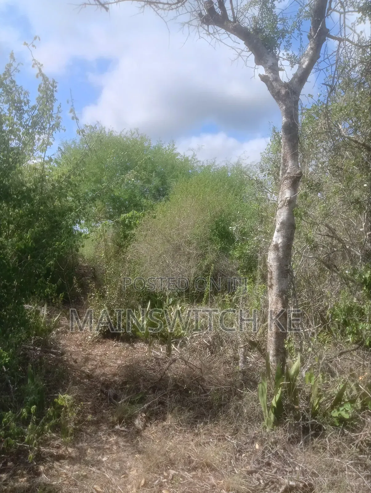 Own 343 Acres With Ready Tittle Deed Just 2km From The Main Road